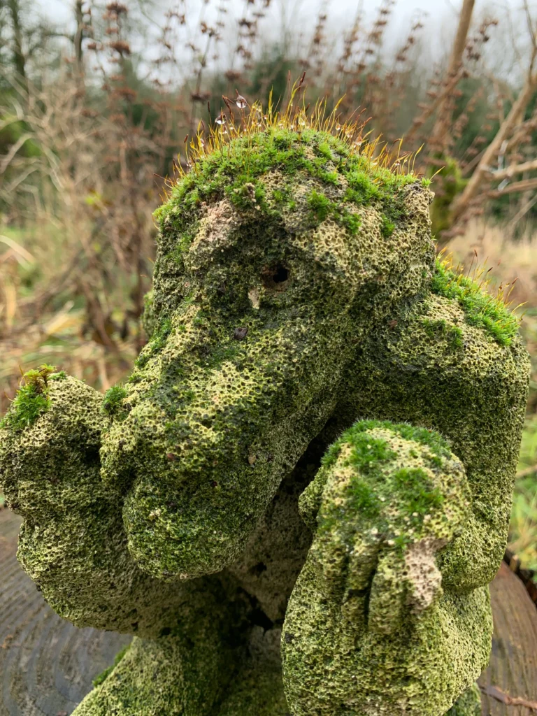 Manuel magique de mon jardin