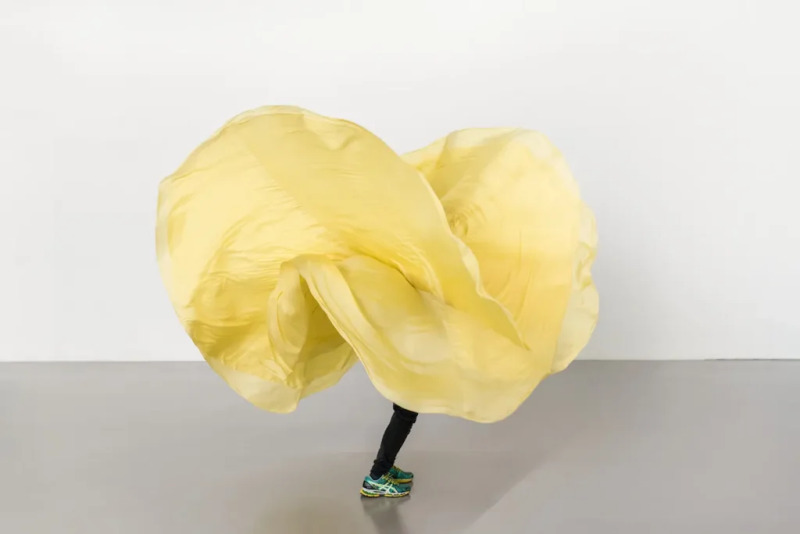 LOÏE FULLER : RESEARCH