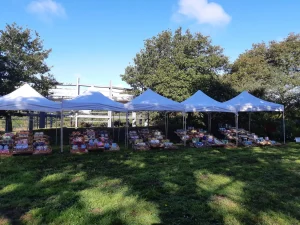 Gentiaan Bulborum Botanicum