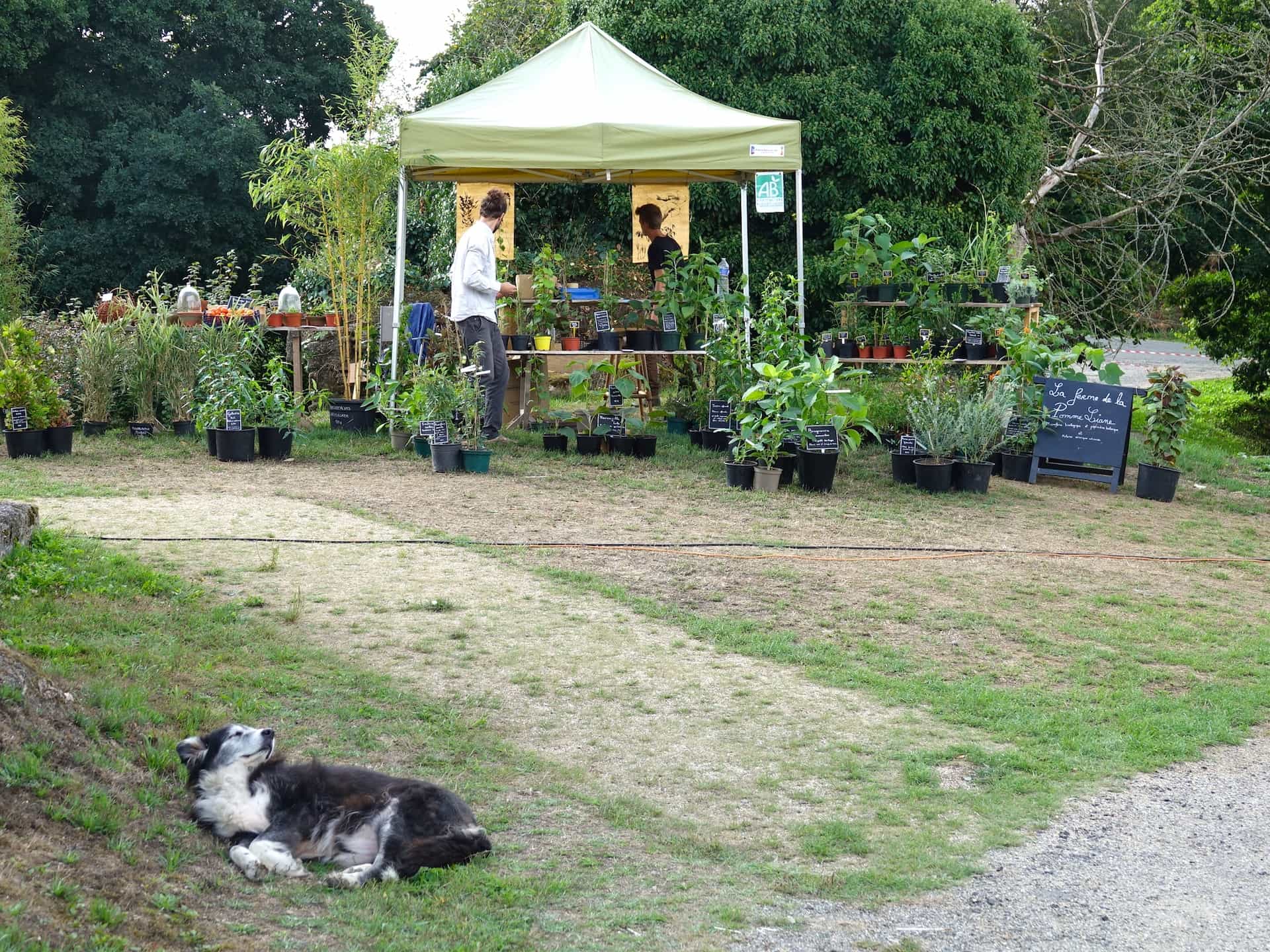 Journée des plantes de Saint-Antoine 2025