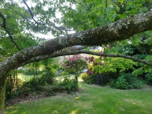 Mon jardini coloré - Jeanne Reid