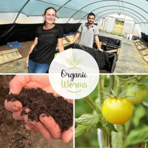 Organic Worms