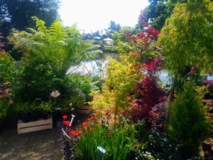 PEPINIERES PENHOADIC